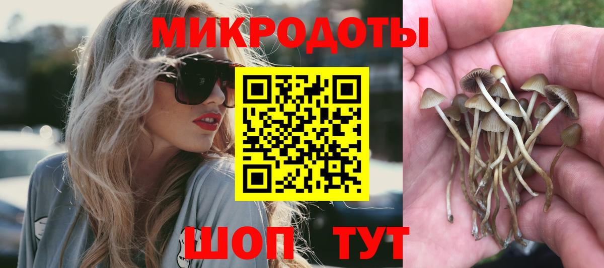 Псилоцибиновые грибы Cubensis Касимов